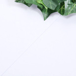 썸네일(스크롤)