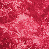 썸네일(스크롤)