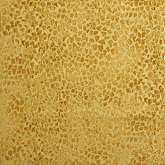 썸네일(스크롤)